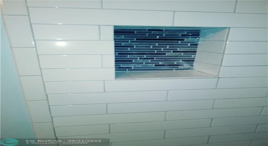 HALLWAY BATHROOM