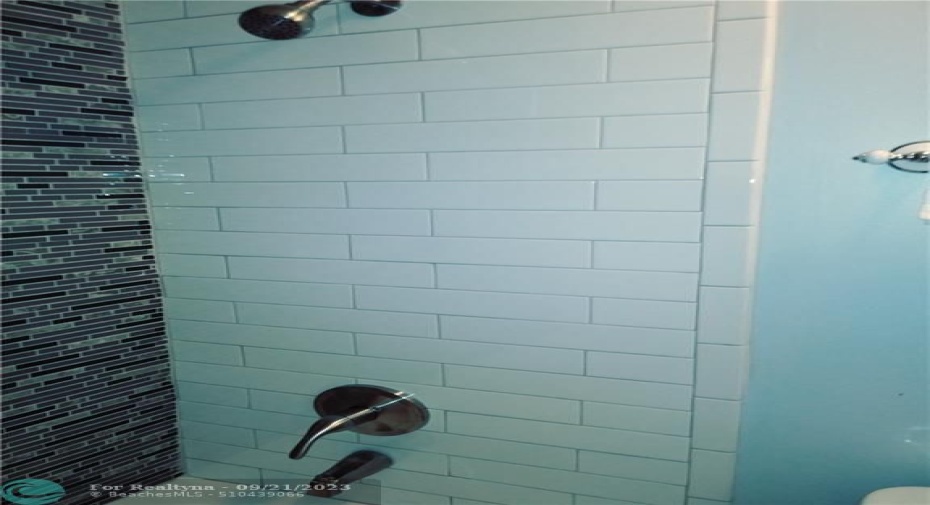 HALLWAY BATHROOM