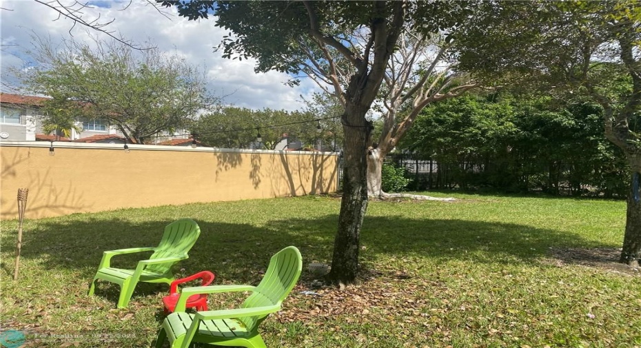 Backyard area