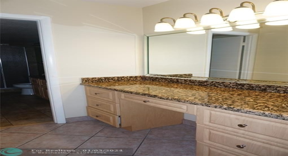 Primary Vanity