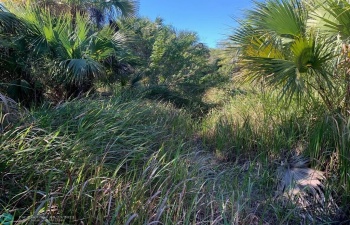 Residential Land/boat Docks For Sale