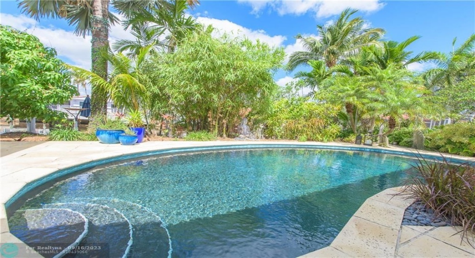 Lagoon-Like Pool w/Pebble Tec