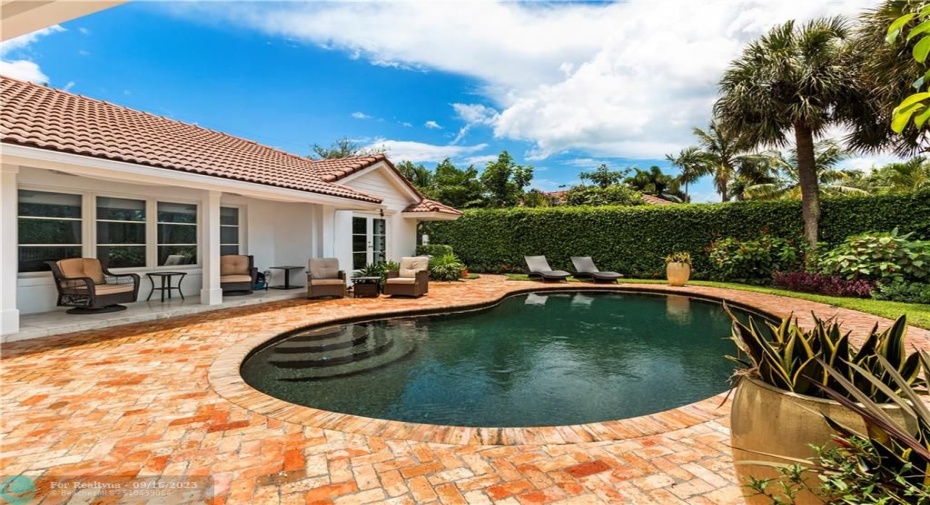 Courtyard Pool