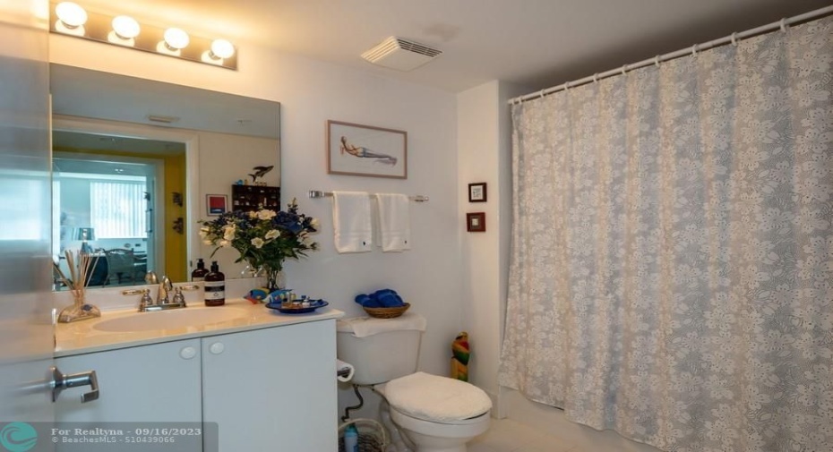 Guest bathroom