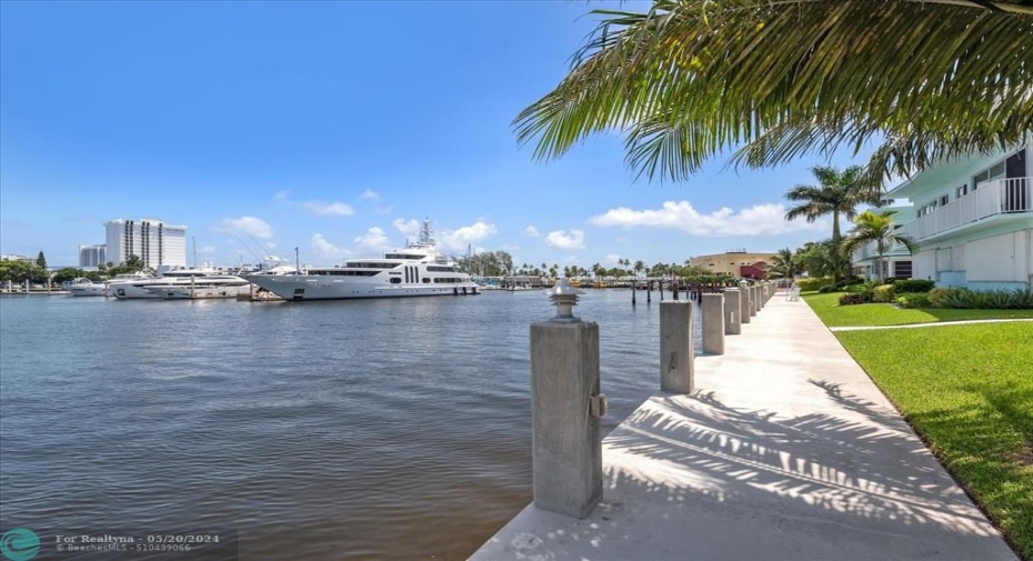 View from the dock