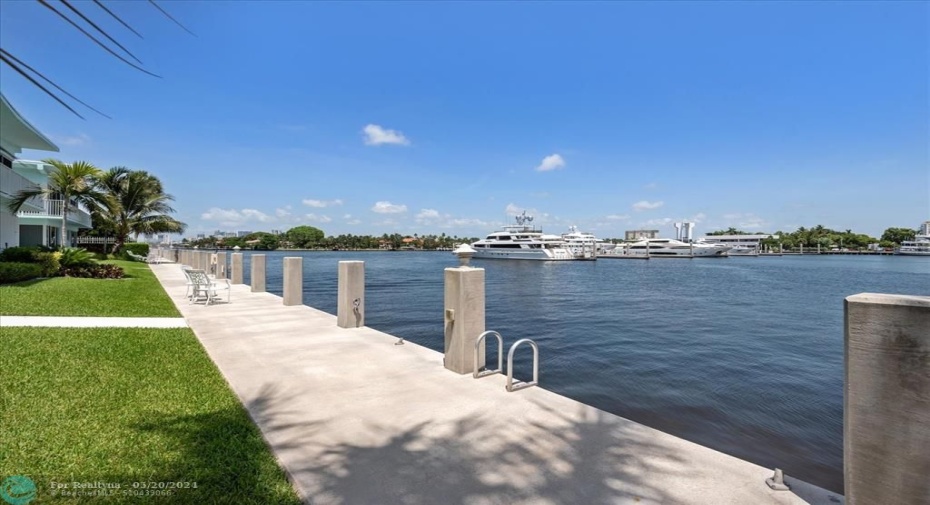View from the dock
