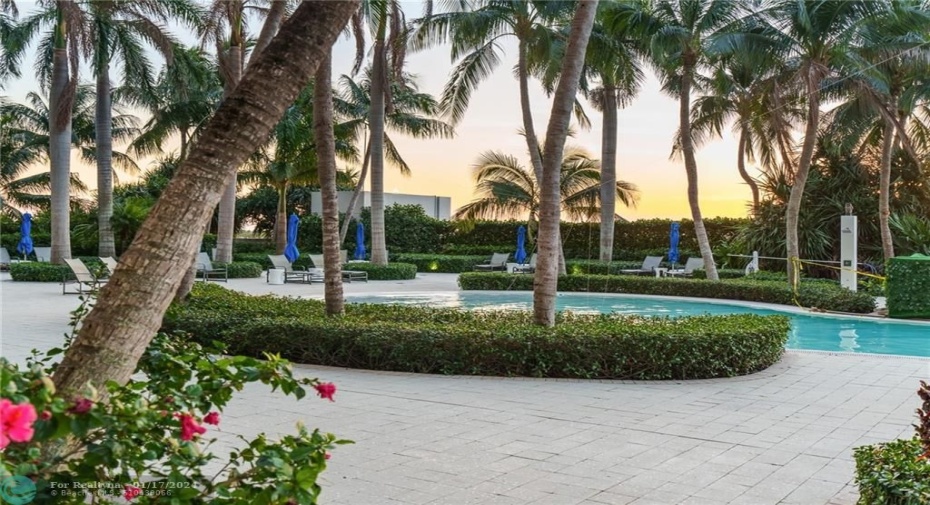 Pool area. Over 40,000 square feet of amenities!