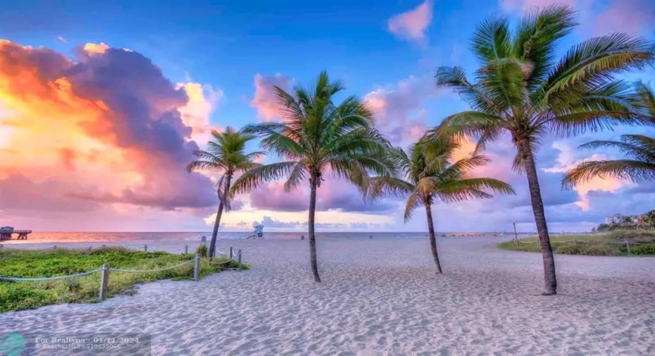 Beach
