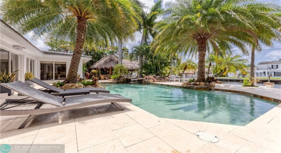 Comfy lounge chairs and large palm trees for shade