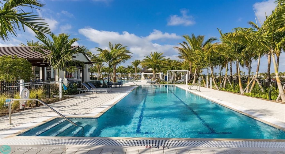 Avenir Lap Pool