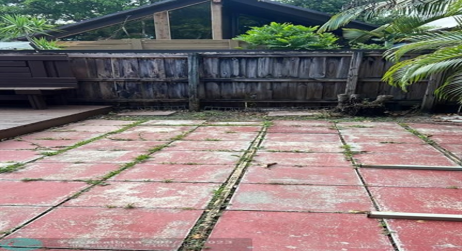 Back yard