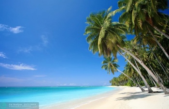 Palm Beach