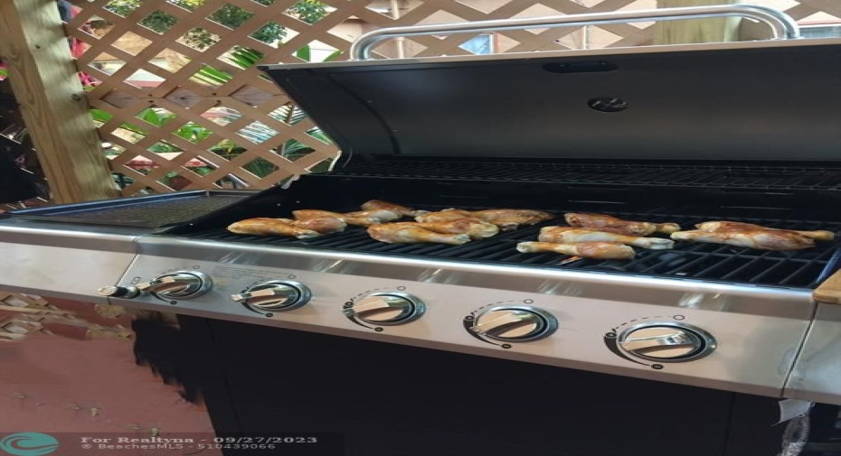 Patio grill