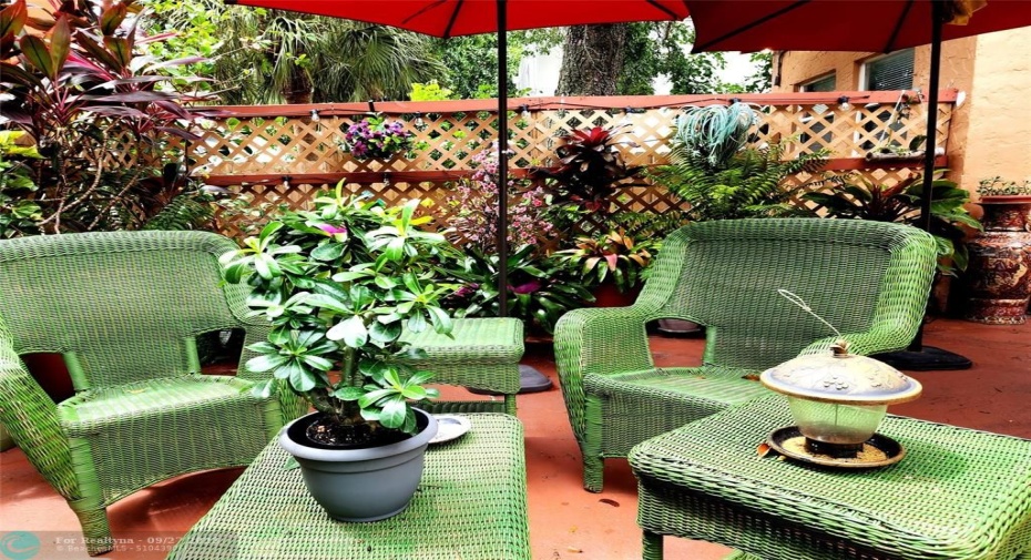 Patio Garden