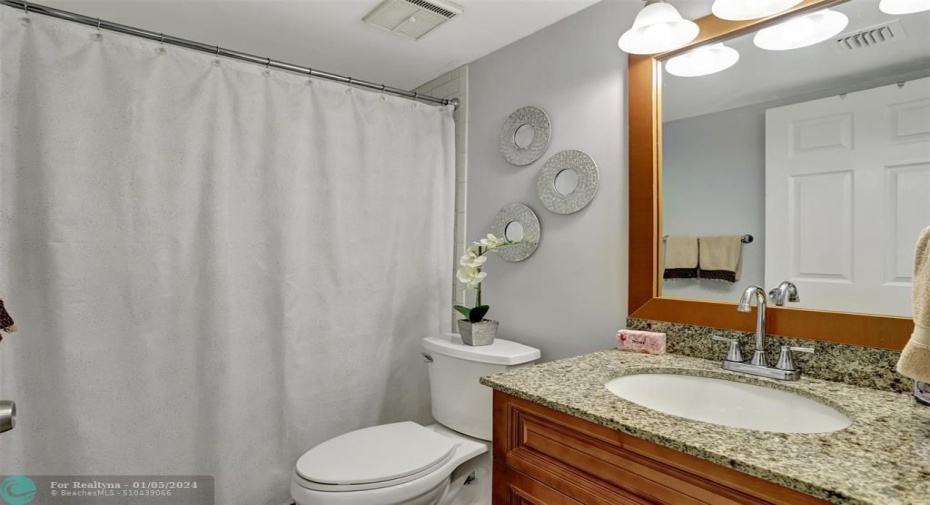 TUB REMOVED. NEW SHOWER IN GUEST BATHROOM. WOOD VANITY GRANIT TOP, UNDER MOUNT SINK, REPLACED: MIRROR; FLOORING;COMMODE, & LIGHT FIXTURE