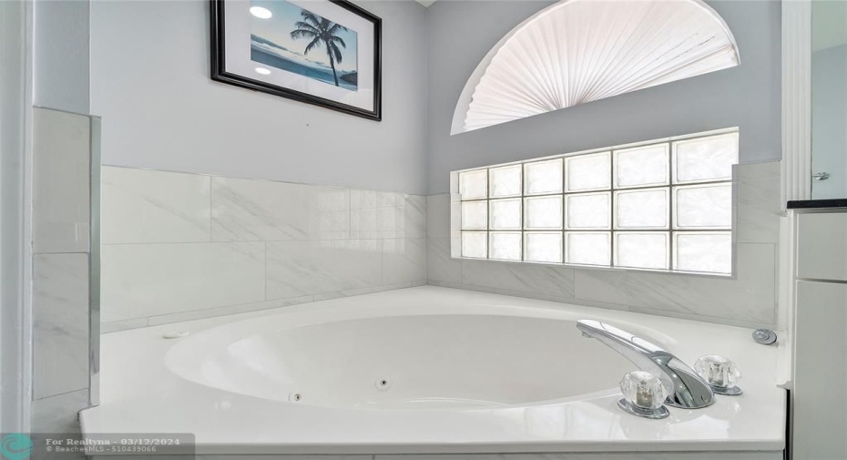 Master bath tub