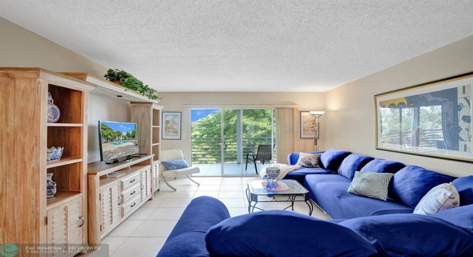 Light Filled Living Room