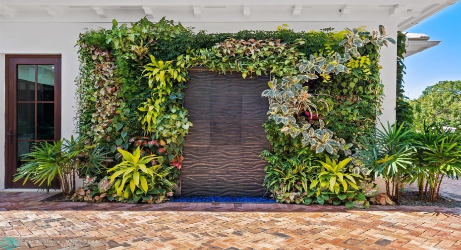 Living Wall in courtyard