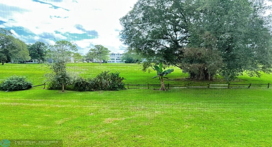 Expansive Garden View