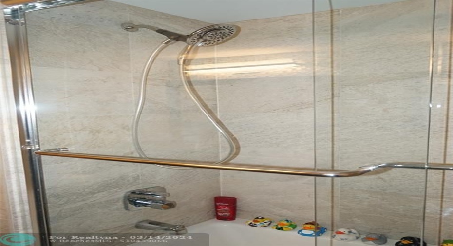 Primary Shower