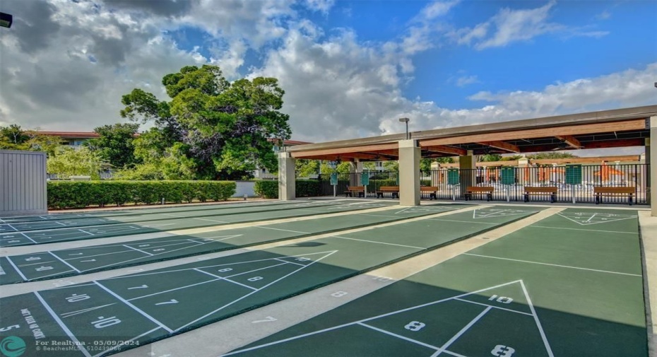 Shuffle board