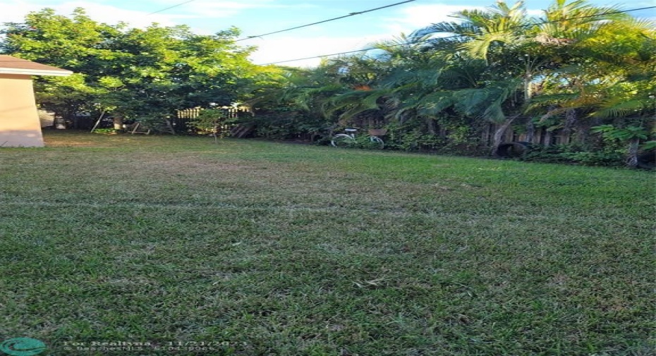 Back Yard