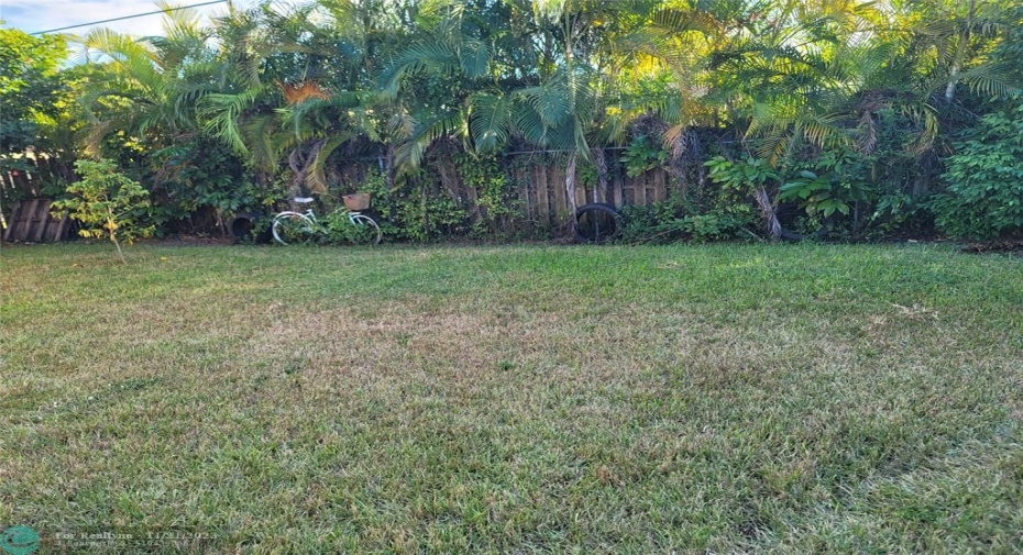 Back Yard