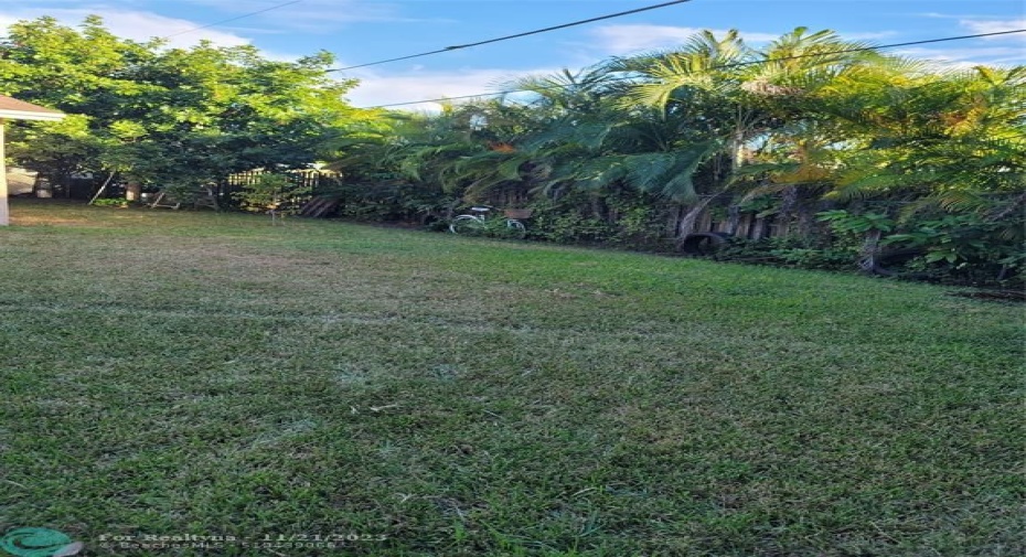 Back Yard