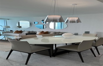 Living /Dining arae