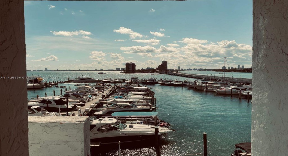 View