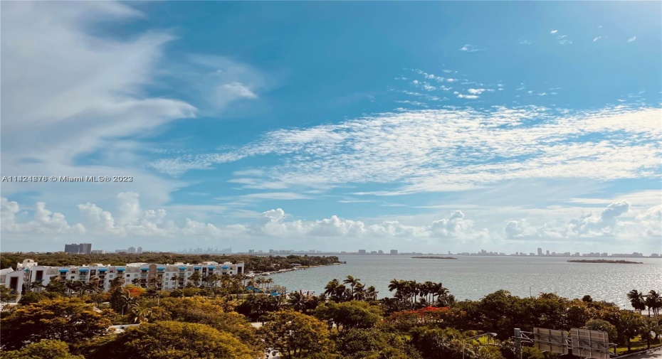 View