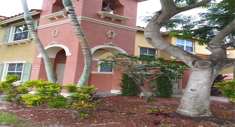 Front of Structure