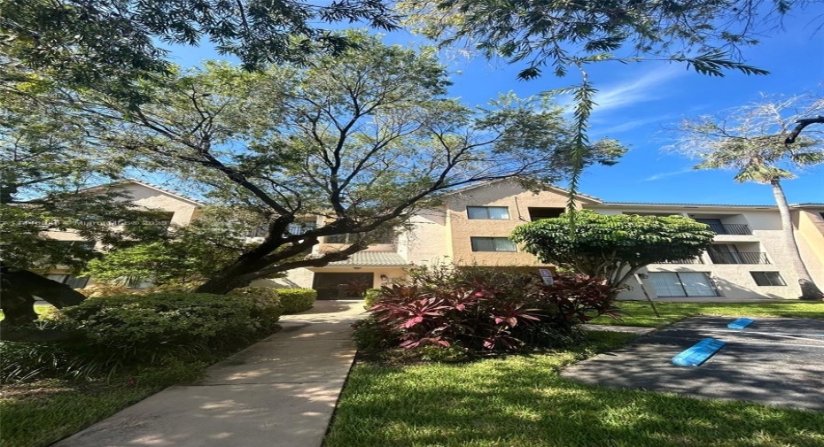 Front of Structure