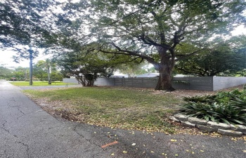 Yard