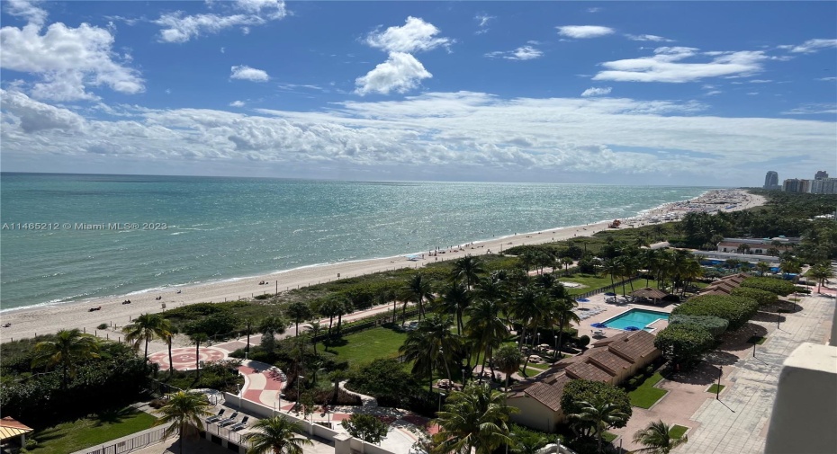 View