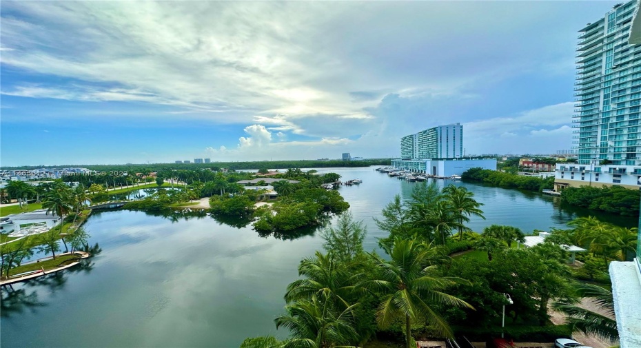 View
