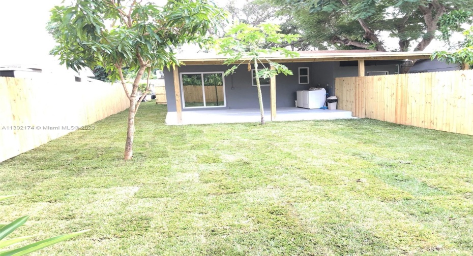 Back of Structure