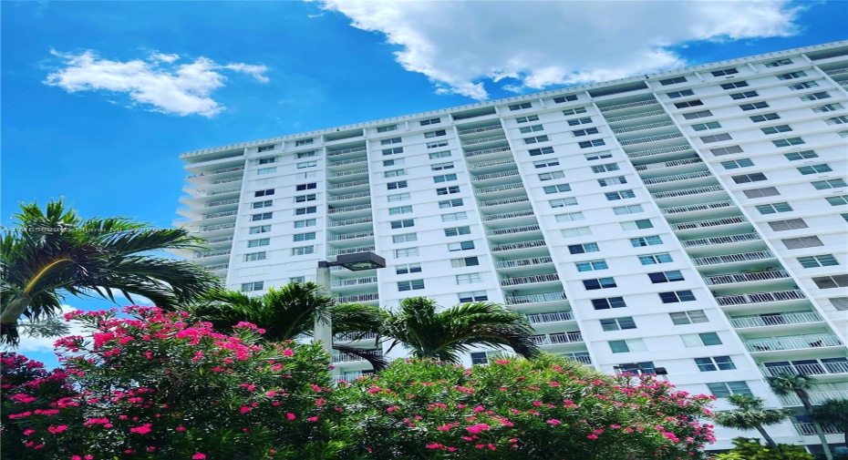 Front of Structure