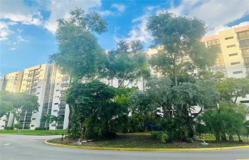 Front of Structure