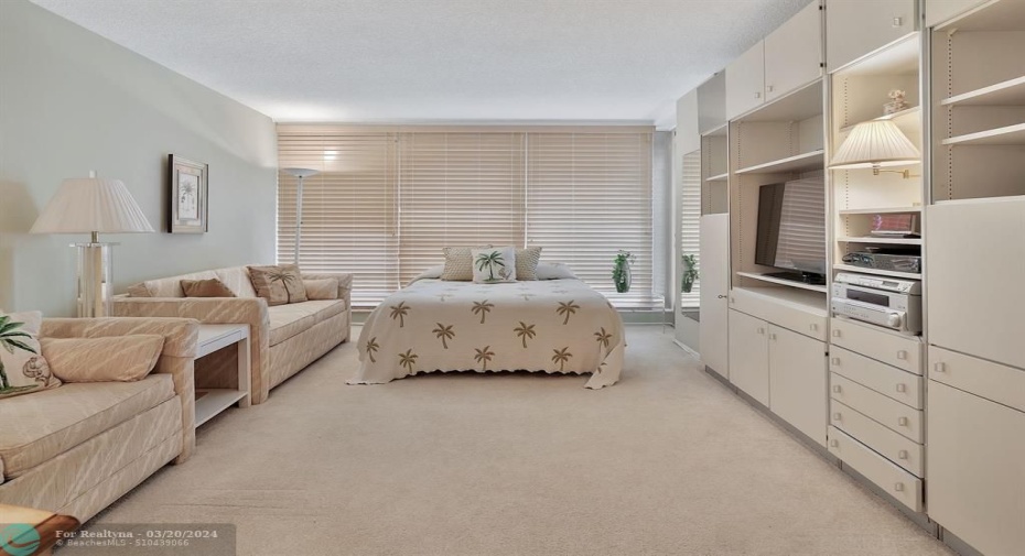 Guest Bedroom/Den