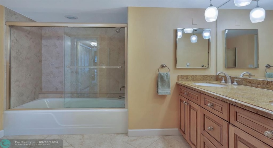 Master Bathroom Tub/Shower Combination