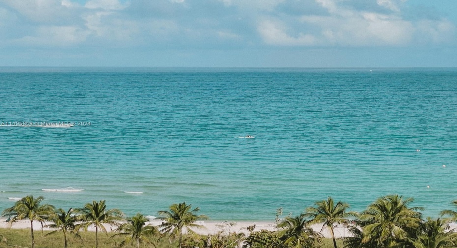 Ocean vews for miles!