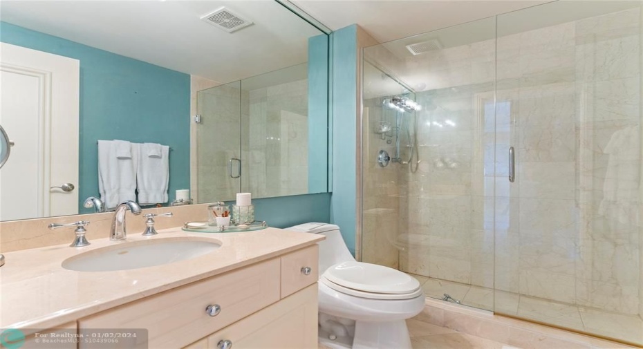 Guest bathroom