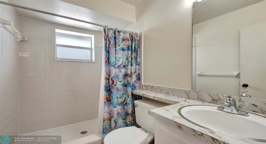 Guest/Hall Bathroom