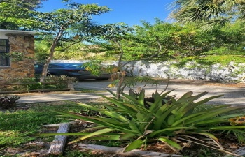 Yard