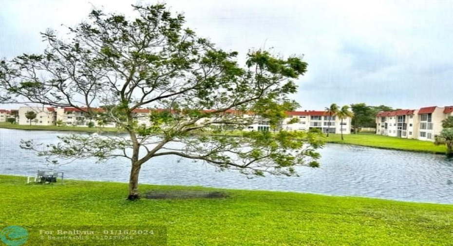 lake view from unit