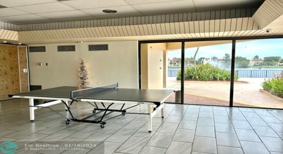 ping pong