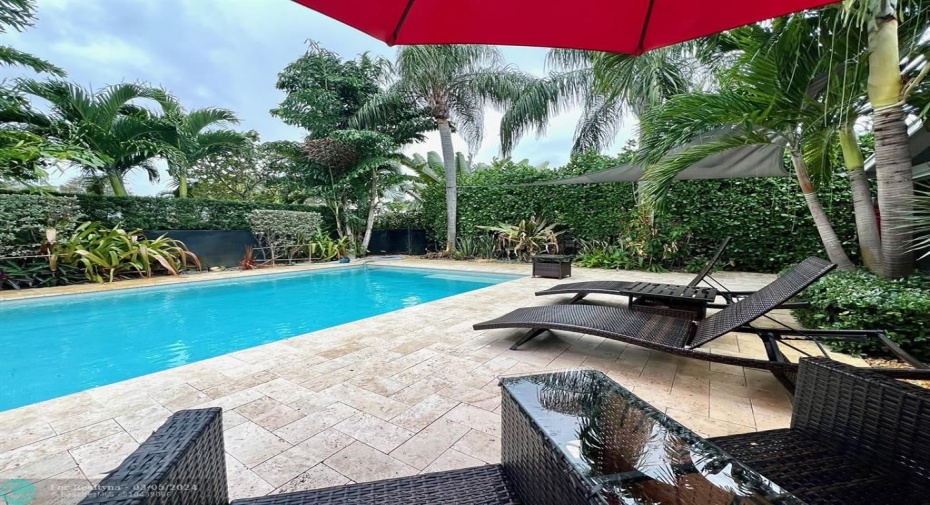 Contemporary Saltwater Pool...