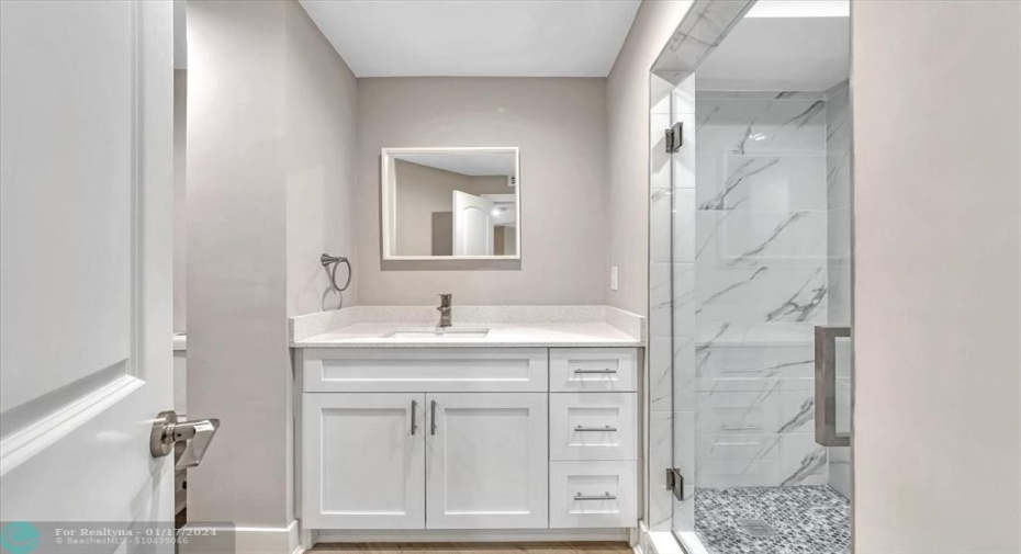 Guest bathroom