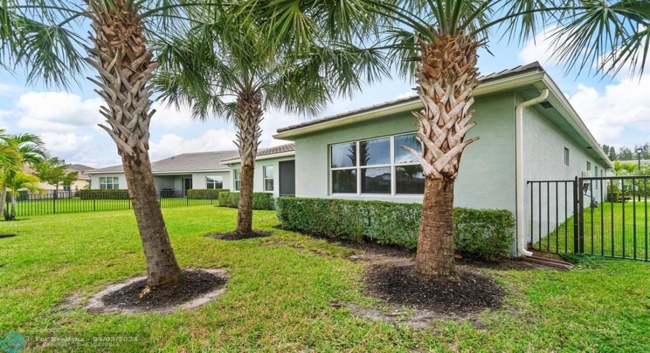 Beautiful Mature Palm Trees in this vast yard.